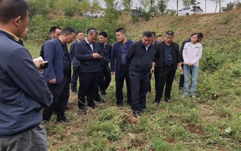 天水市政協(xié)副主席、清水縣委書記馬越垠到“榮程百草莊園”中藥材試驗基地調(diào)研中草藥產(chǎn)業(yè)發(fā)展工作