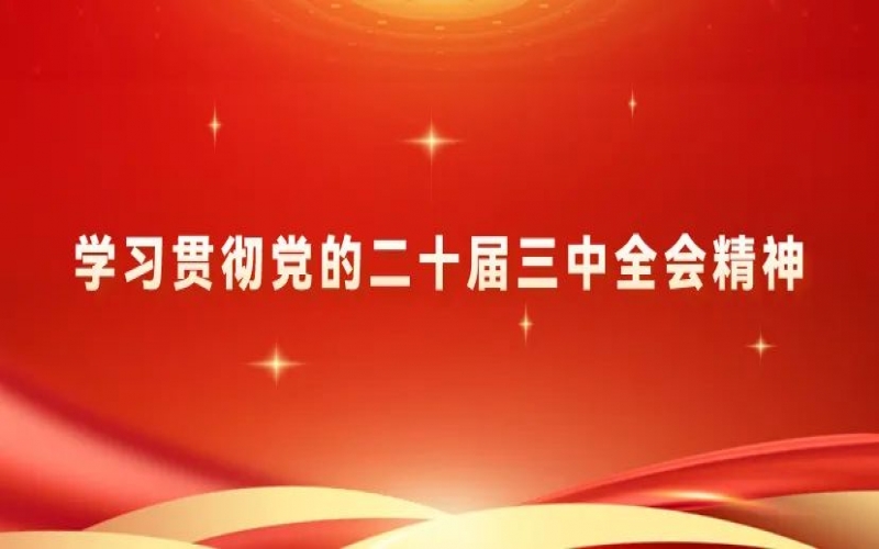 學習貫徹黨的二十屆三中全會精神 - 榮程青年為推進中國式現(xiàn)代化挺膺擔當