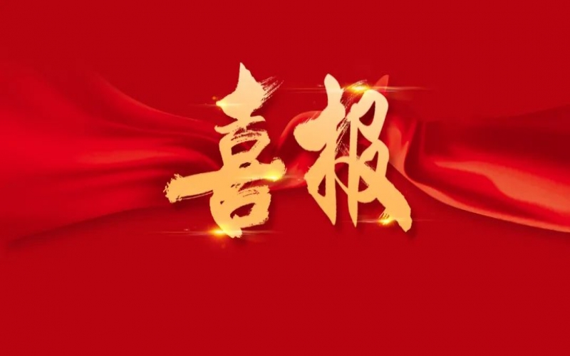 喜訊 - 提升14位！榮程集團(tuán)位列中國(guó)企業(yè)500強(qiáng)第201位