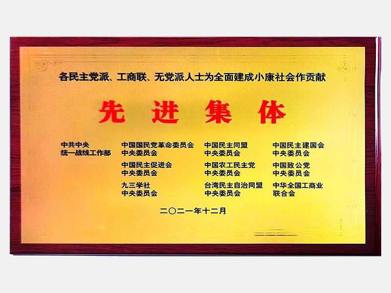 各民主黨派、工商聯(lián)、無(wú)黨派人士為全面建成小康社會(huì)作貢獻(xiàn)先進(jìn)集體